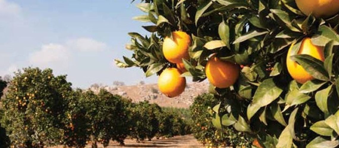 Hidden success - cover